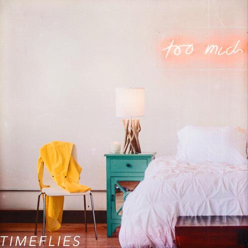 One Hit Wonder - Timeflies