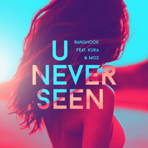 Banghook feat. Kuka & MOZ - U Never Seen
