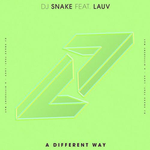 A Different Way - DJ Snake feat. Lauv