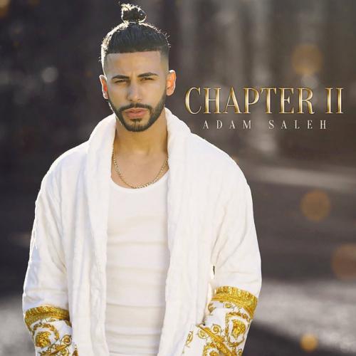 Adam Saleh feat. Demarco - All You Can Handle