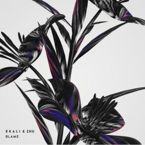 Ekali & Zhu - Blame