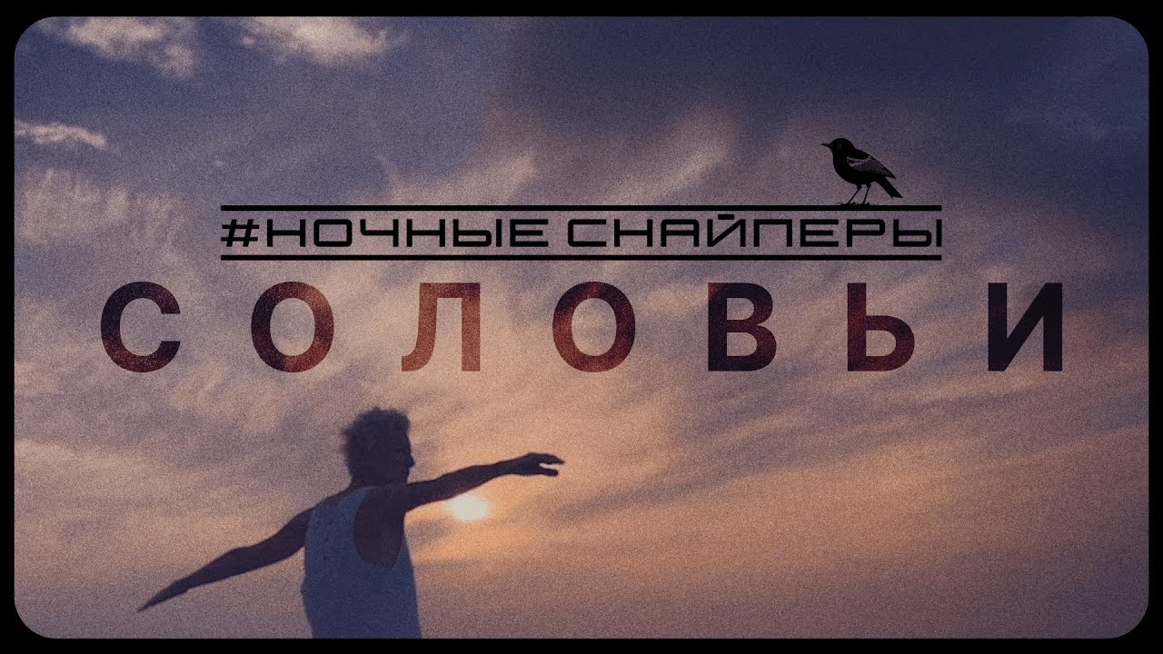 Соловьи