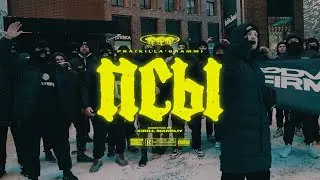 ПСЫ