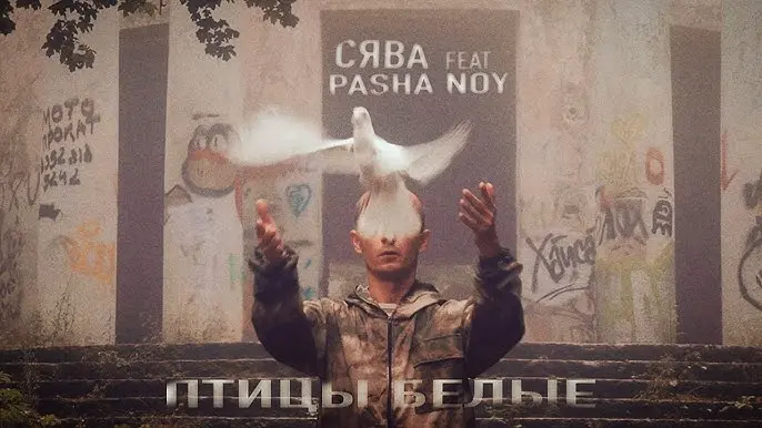 Птицы Белые