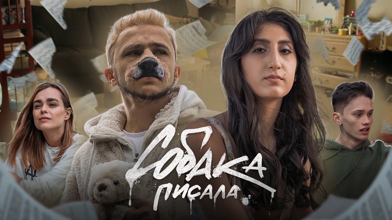 Собака писала