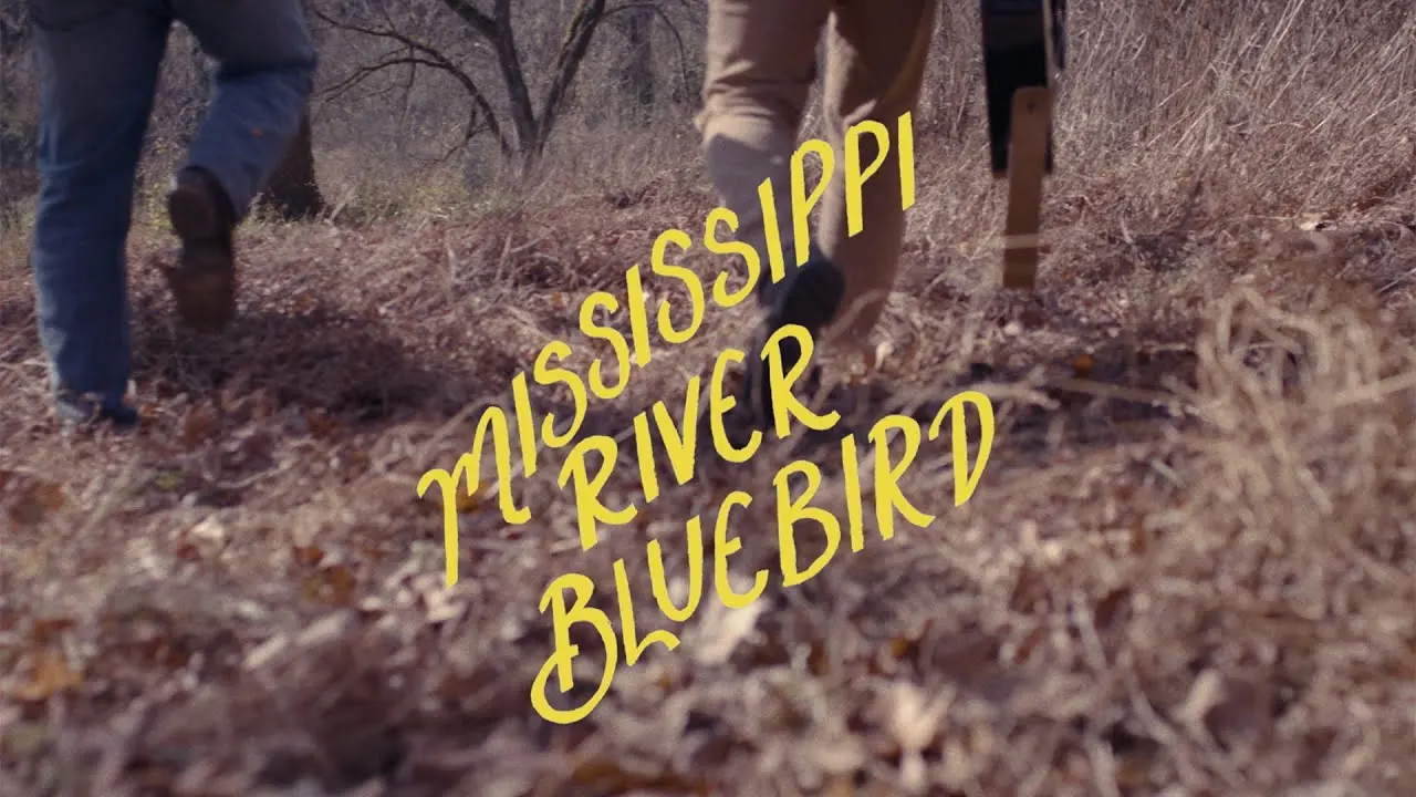 Mississippi River Bluebird