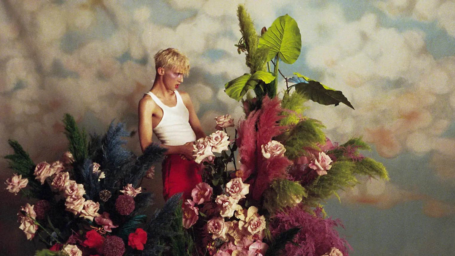 Bloom