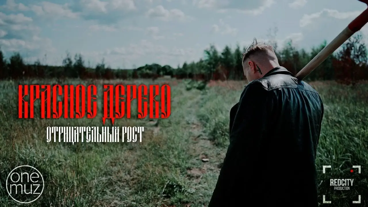 Отрицательный рост