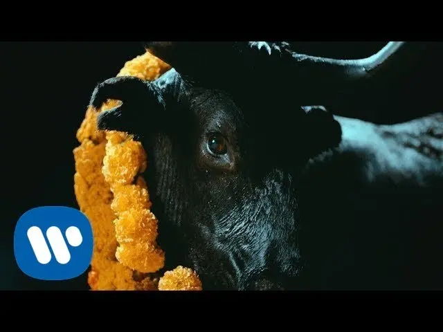 Black Bull