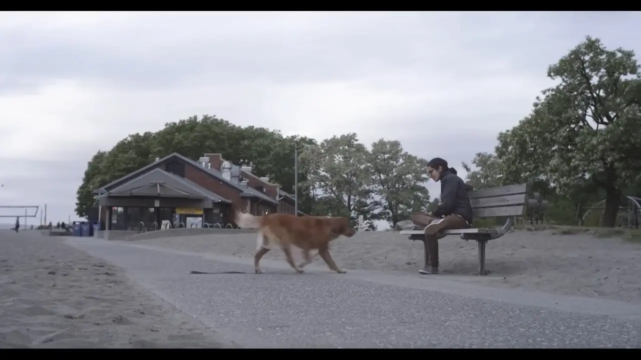 Hang Out With You