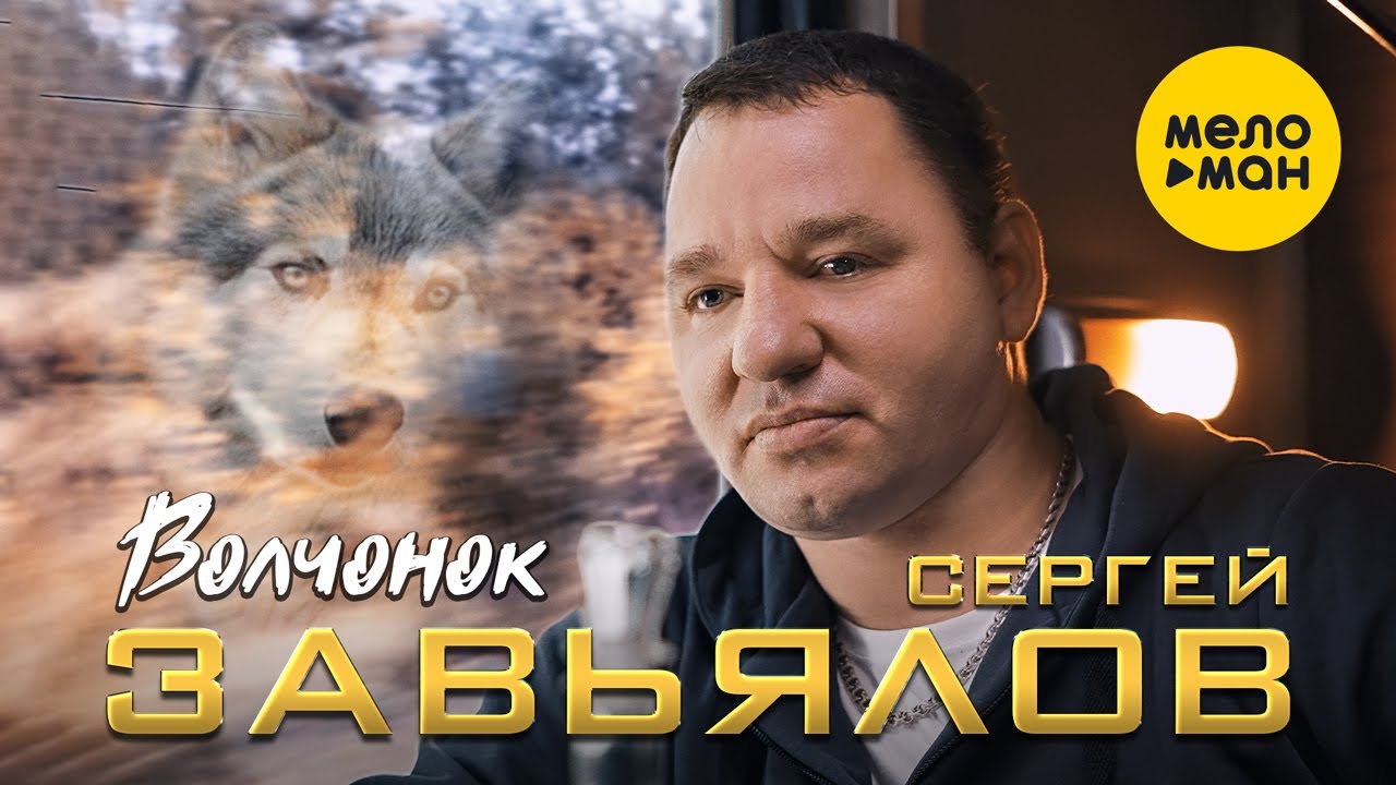 Волчонок