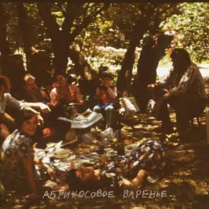 Абрикосовое варенье