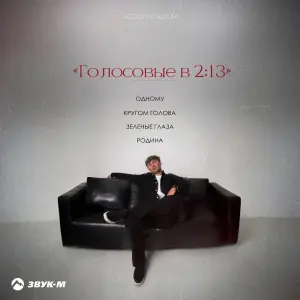 Голосовые в 2:13