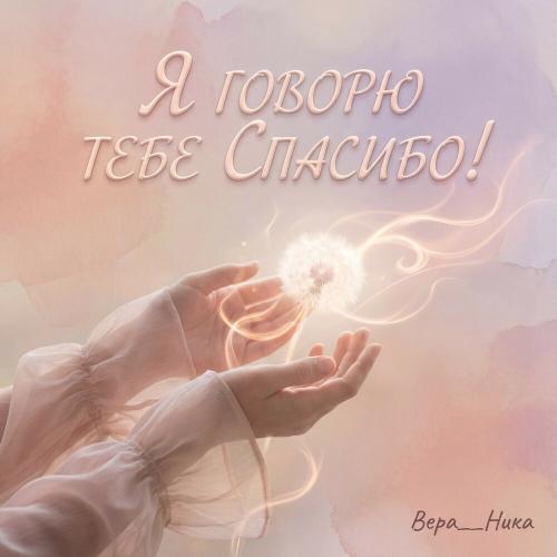 Я говорю тебе спасибо
