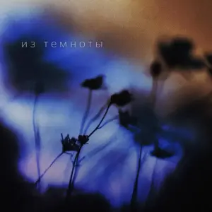 Из темноты
