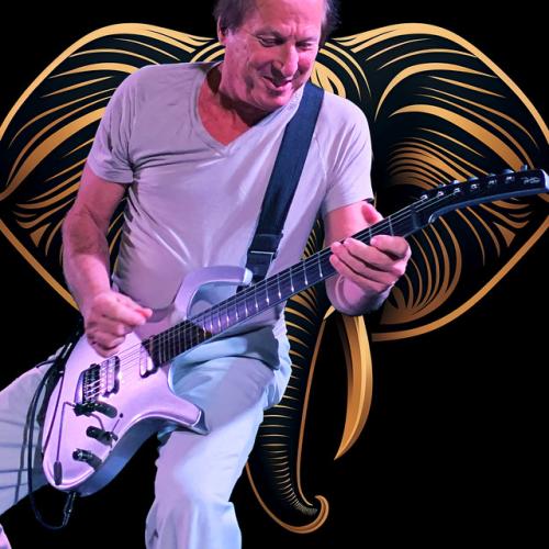 Cody-Belew