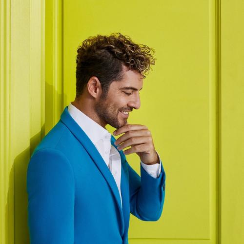 David Bisbal
