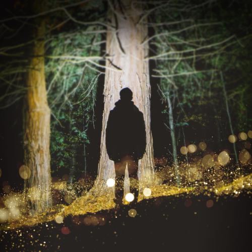Артист David Forest