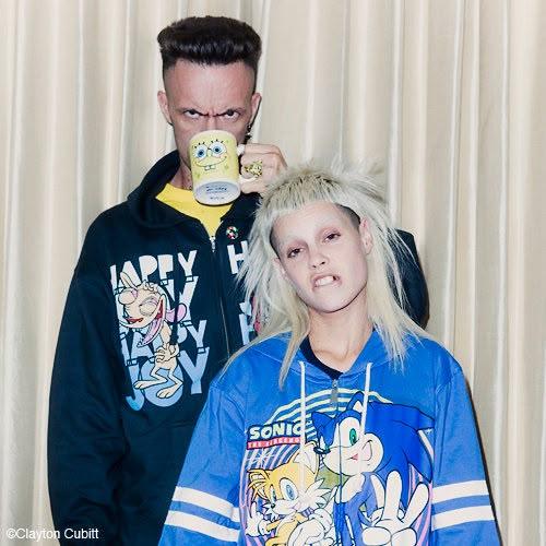 Артист Die Antwoord