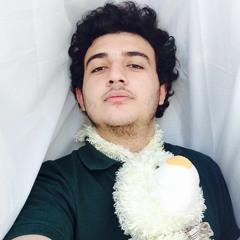 Elshan