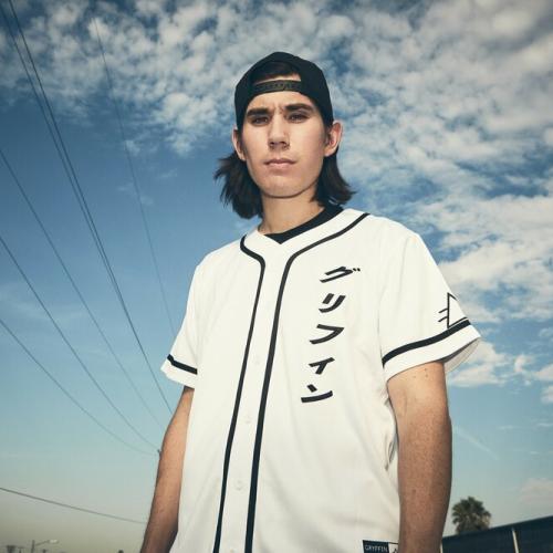 Gryffin