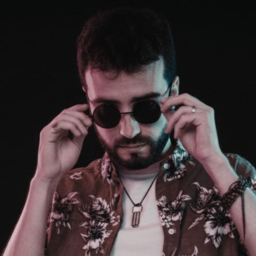 Ilan Videns