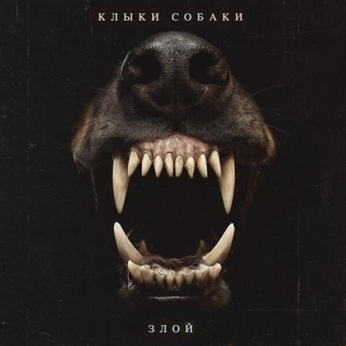 КЛЫКИ СОБАКИ