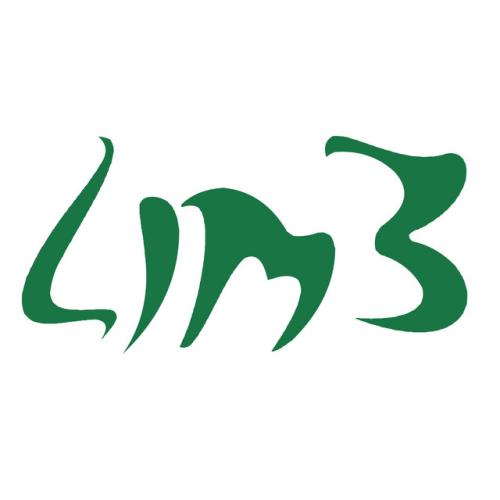 Артист LIM3