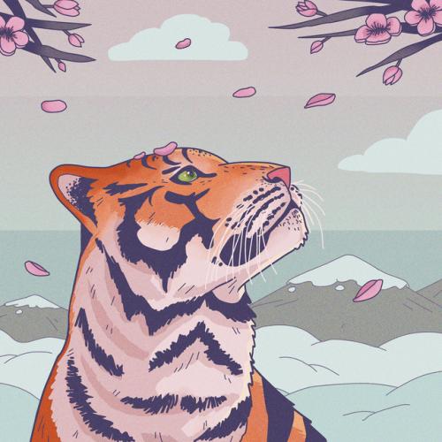 Артист Lo-Fi Tigers