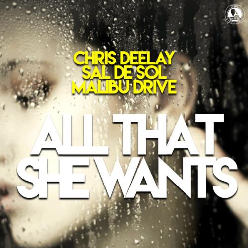 Артист Malibu Drive