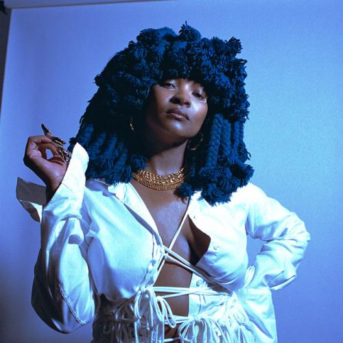 Артист Moonchild Sanelly