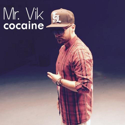 Mr. Vik