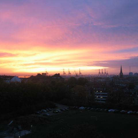 SamTheDawn