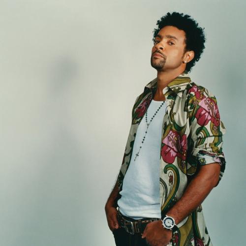 Shaggy