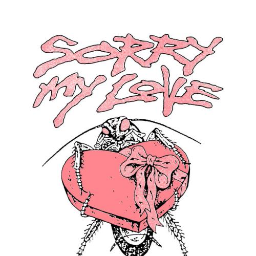 Sorry My Love