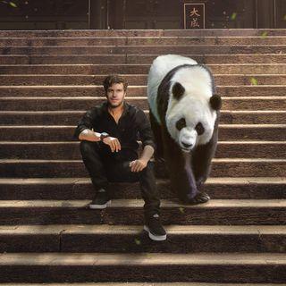 Viva La Panda