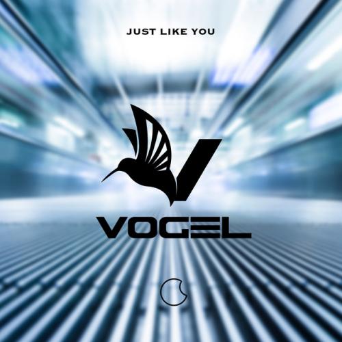Vogel