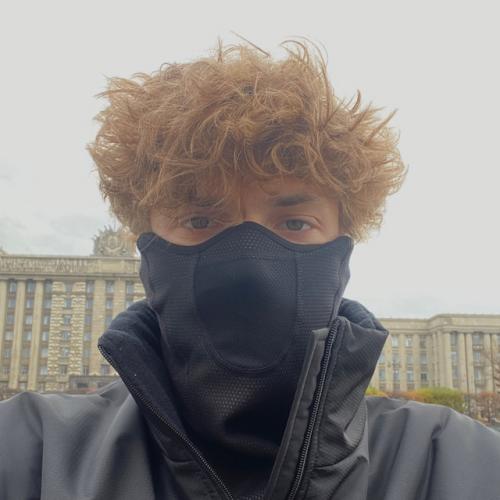 wavdealer