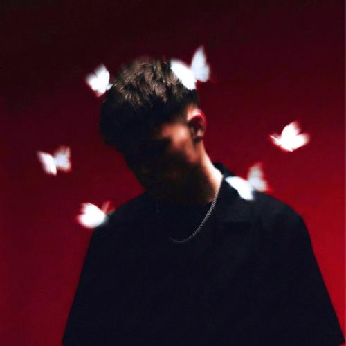 Артист Zak Conner
