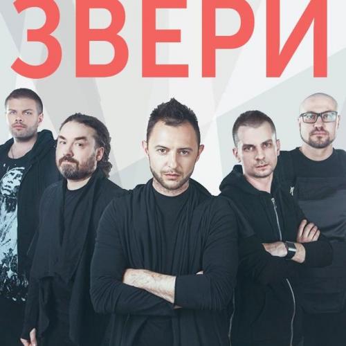 Звери