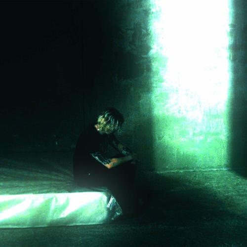 1017 Phoenix - Синты