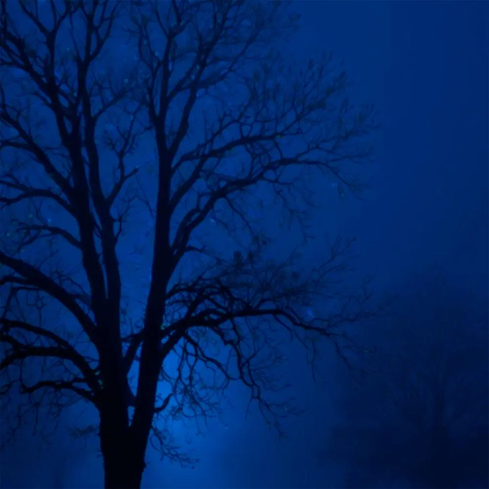 fragile constellations - 2003, noescape