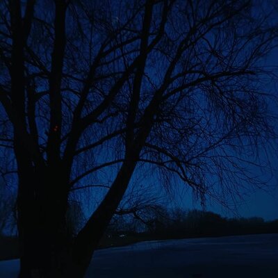 lunar veins - 2003, noescape