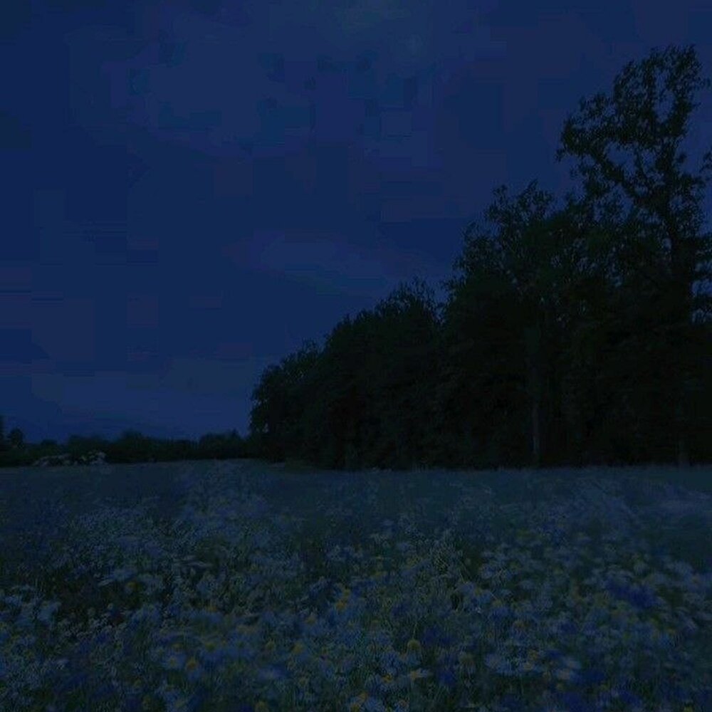 submerged in white - 2003, noescape