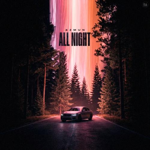 2zMun - All Night