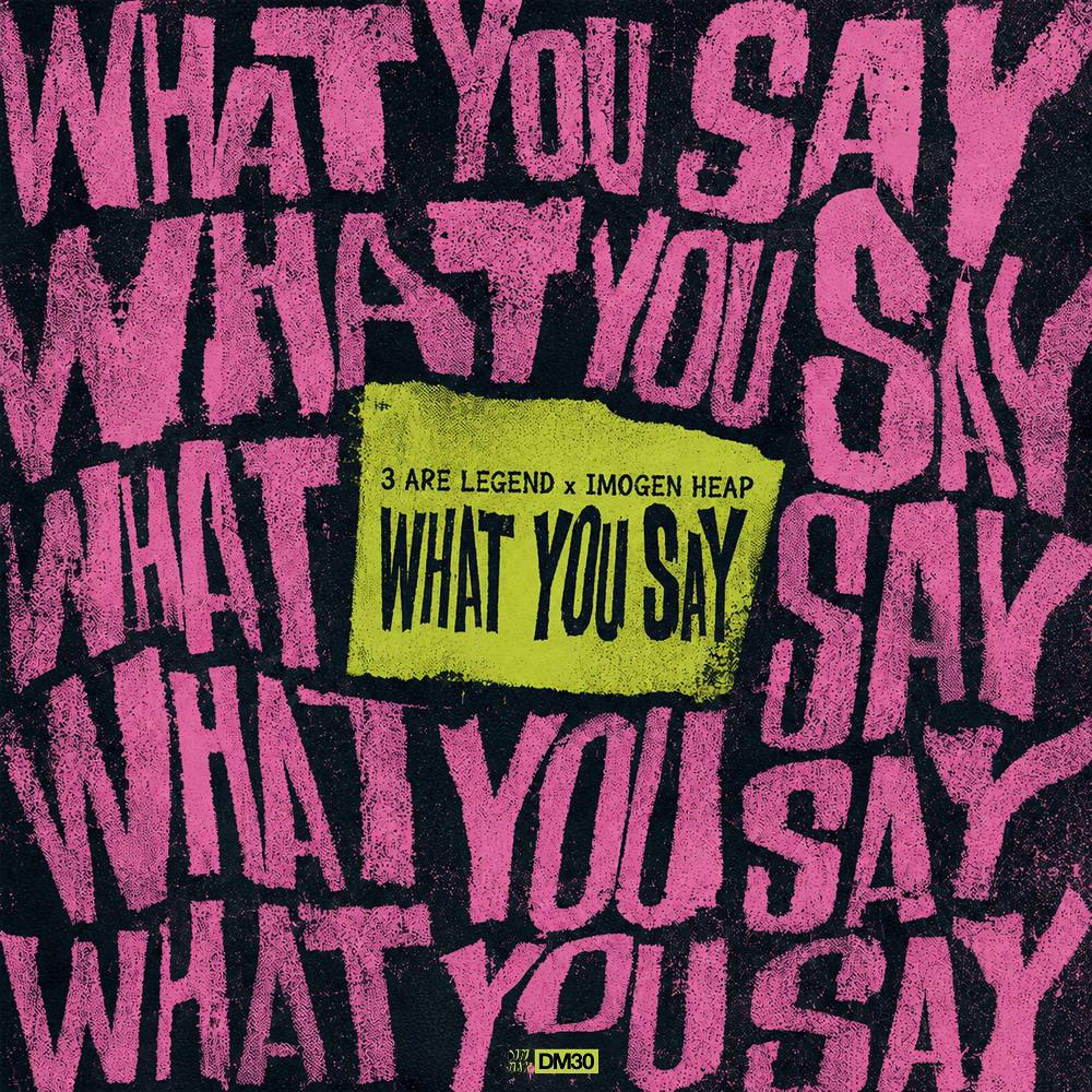 What You Say (feat. Imogen Heap) - 3 Are Legend