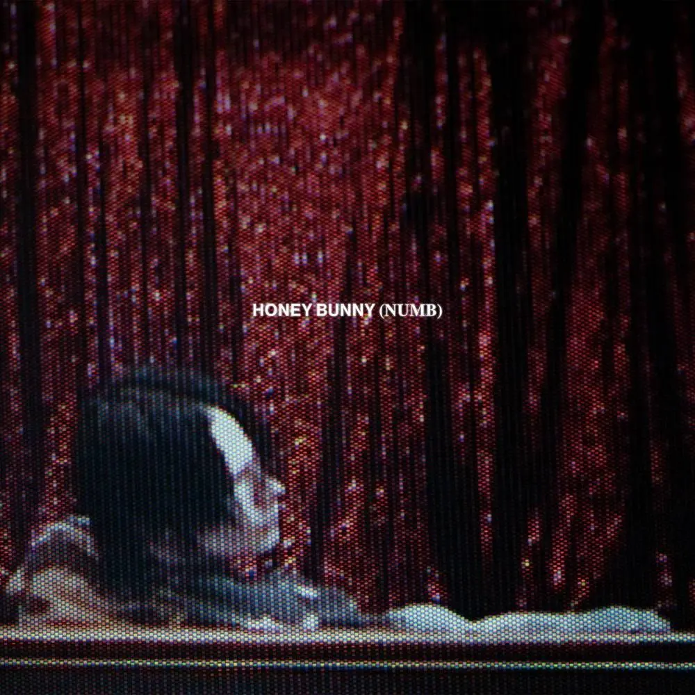 Honey Bunny (Numb) - 9mice
