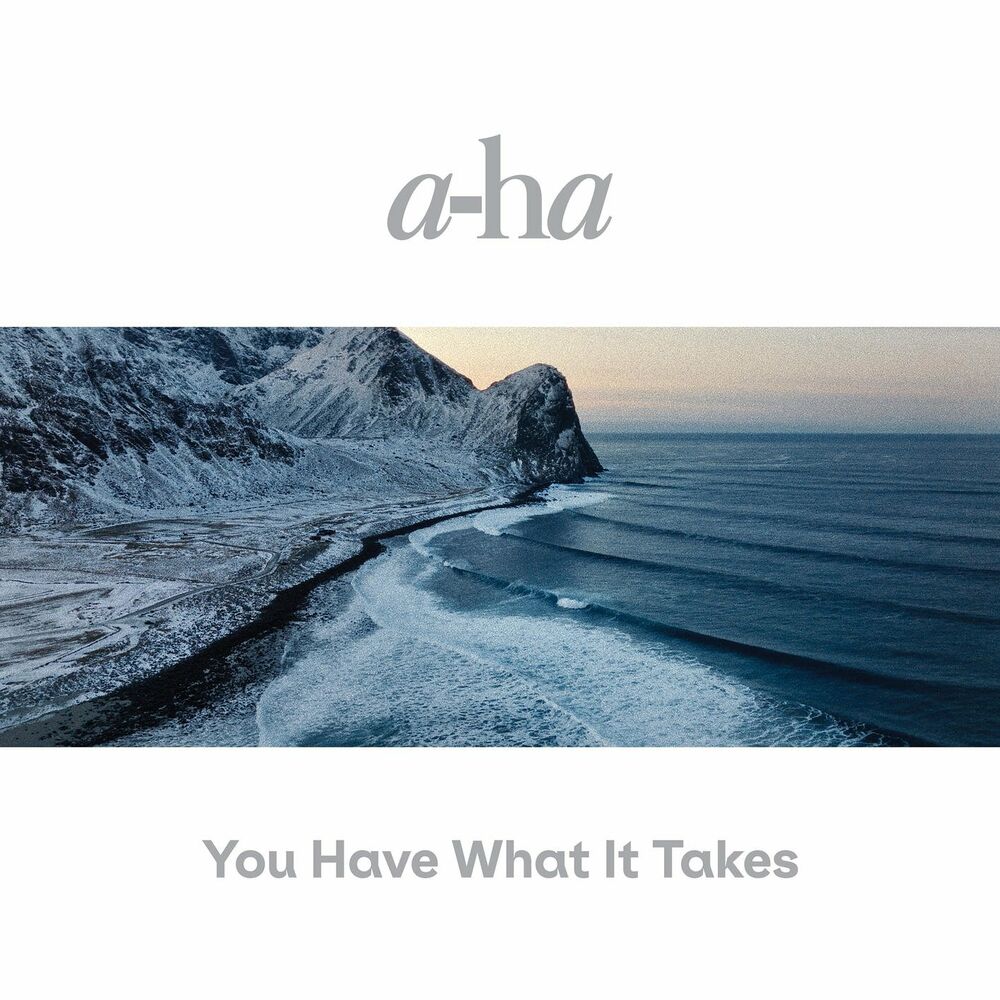 You Have What It Takes (Radio Edit) - a-ha