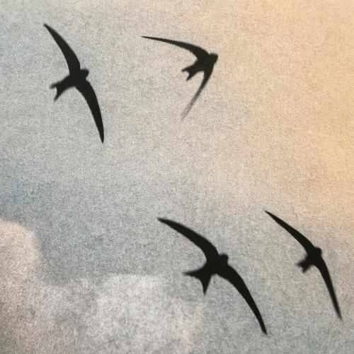 a.Ja - Камбоджи