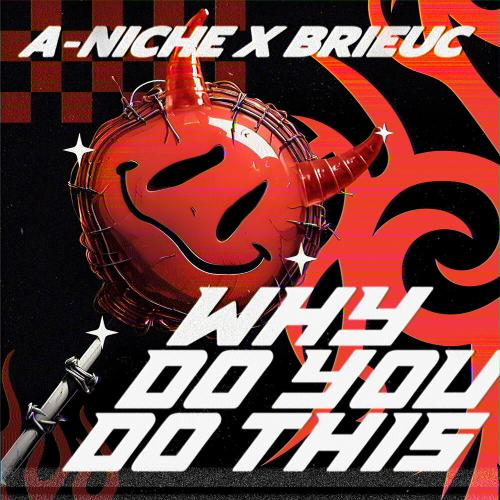 A-NICHE,Brieuc - Why Do You Do This